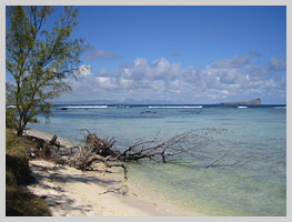 The beach on Ile Plate island