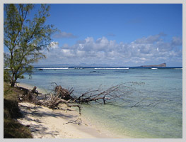 The beach on Ile Plate island