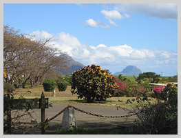 The local flora, with its vibrant colours and exotic scents