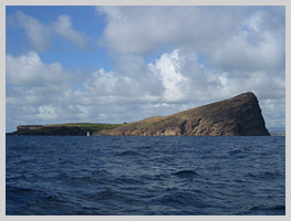 The island of Coin de Mire viewed from the sea