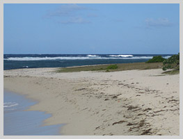 One of the beaches near Port Louis, which features rougher seas because it lacks the protection of the coral reef