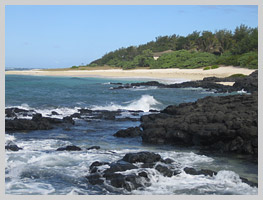 Mauritian beach